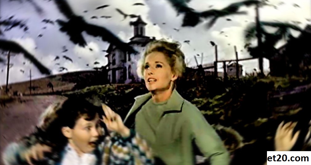 Plot Film The Birds, Film Horor-Thriller Amerika
